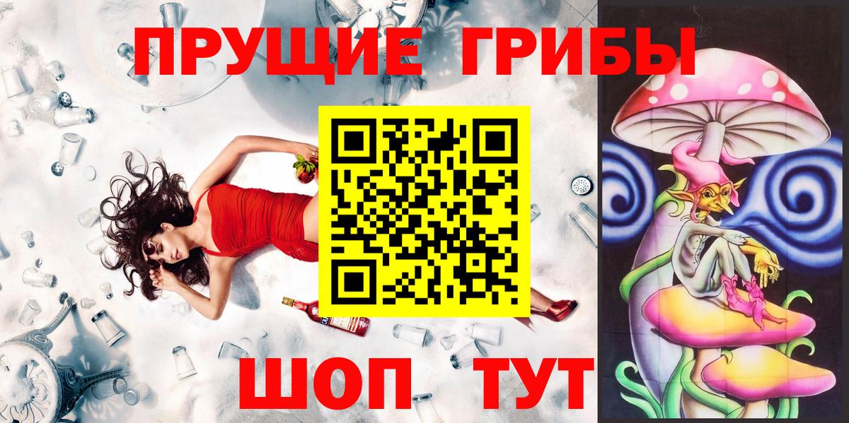 Псилоцибиновые грибы Psilocybe Рязань
